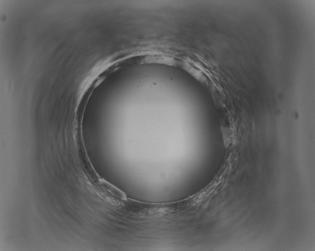 X0000068830152200605261624