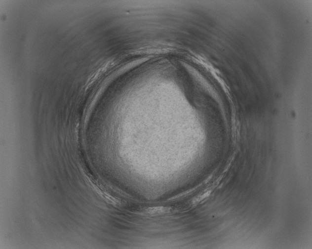 X0000068830153200605261624