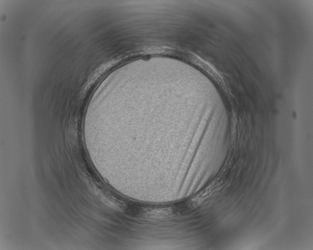 X0000068830155200605261624