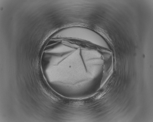 X0000068830156200605261624