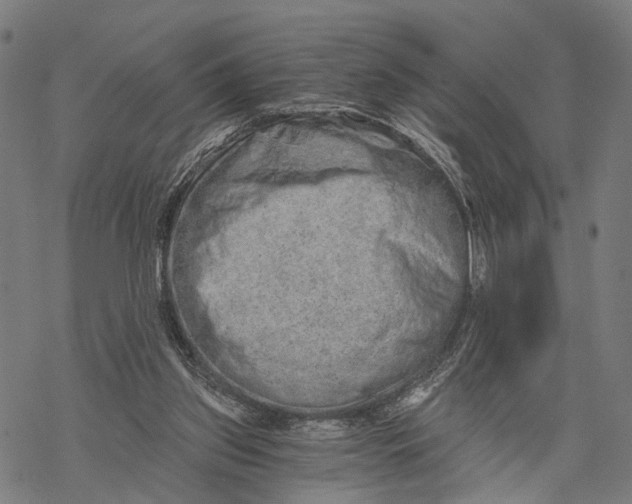 X0000068830157200605261624