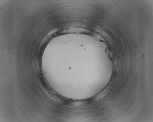 X0000068830158200605261624