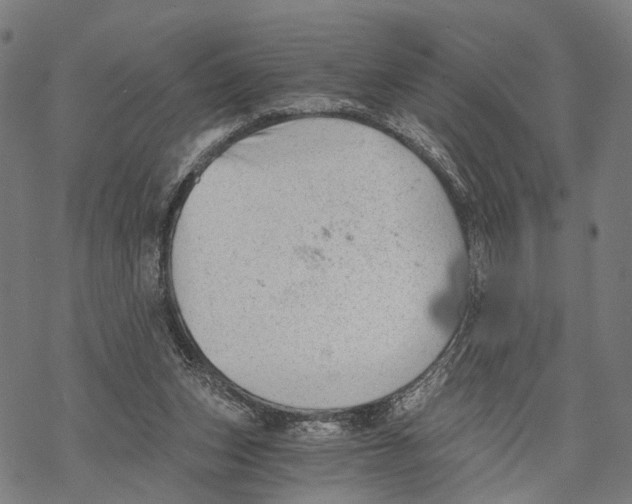 X0000068830159200605261624