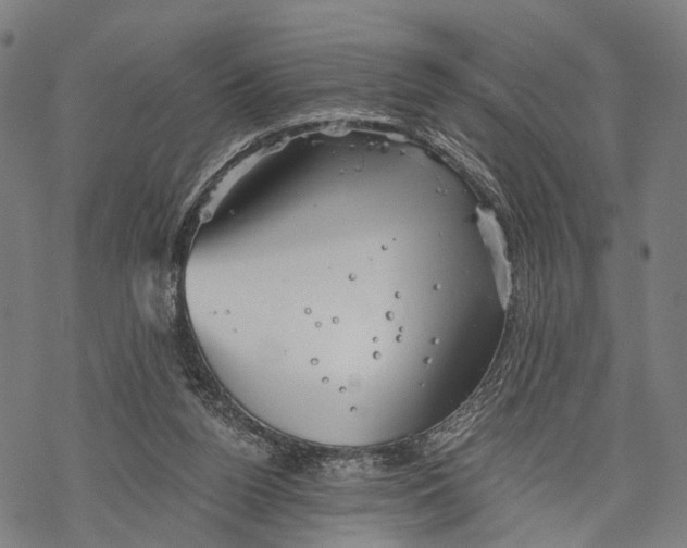 X0000068830160200605261624