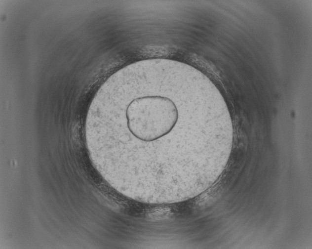 X0000068830162200605261624