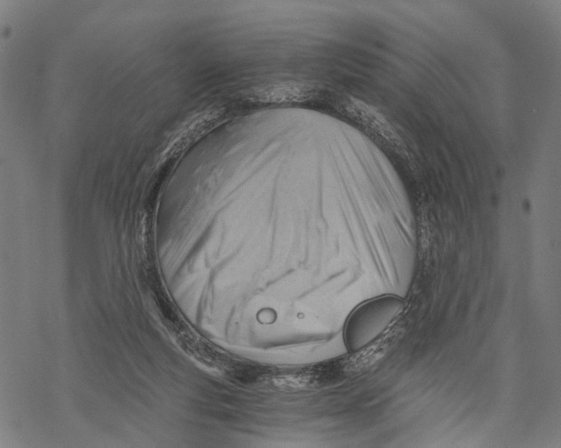 X0000068830163200605261624