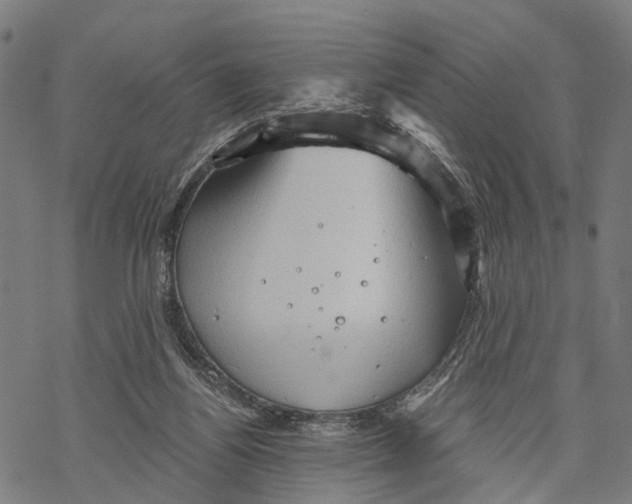 X0000068830164200605261624