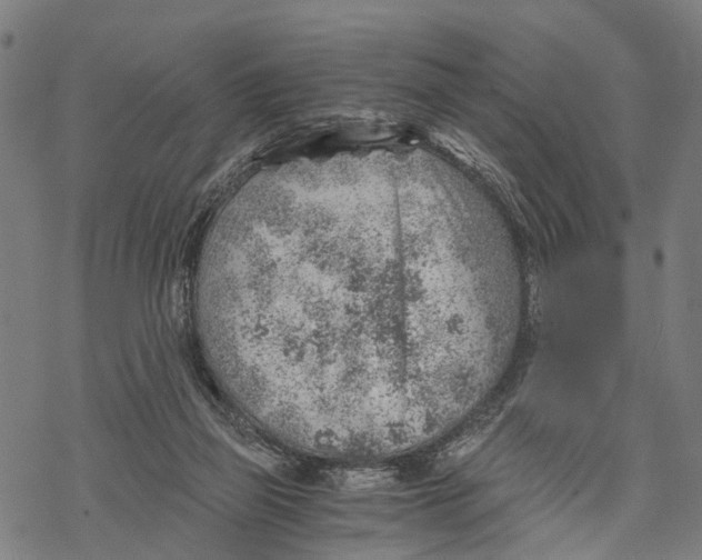 X0000068830165200605261624