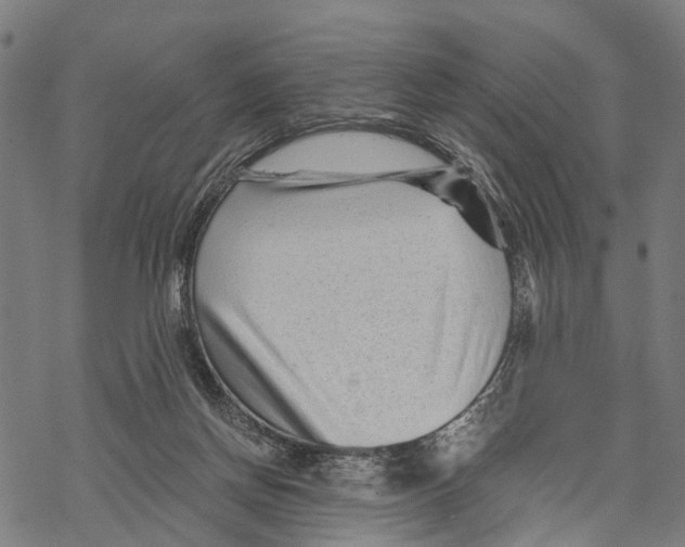 X0000068830166200605261624