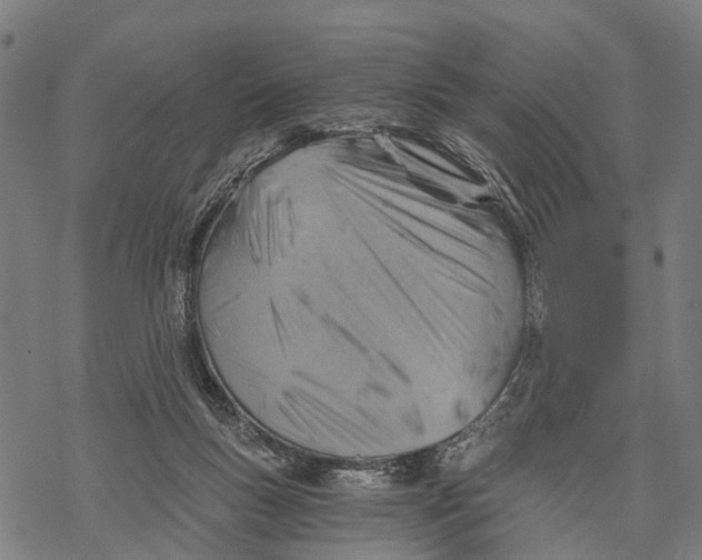 X0000068830167200605261624