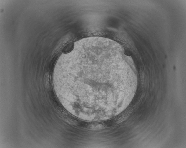 X0000068830169200605261624