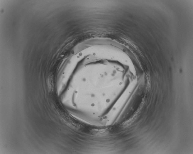 X0000068830170200605261624