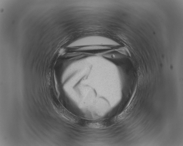 X0000068830171200605261624