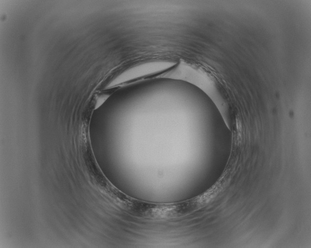 X0000068830172200605261624