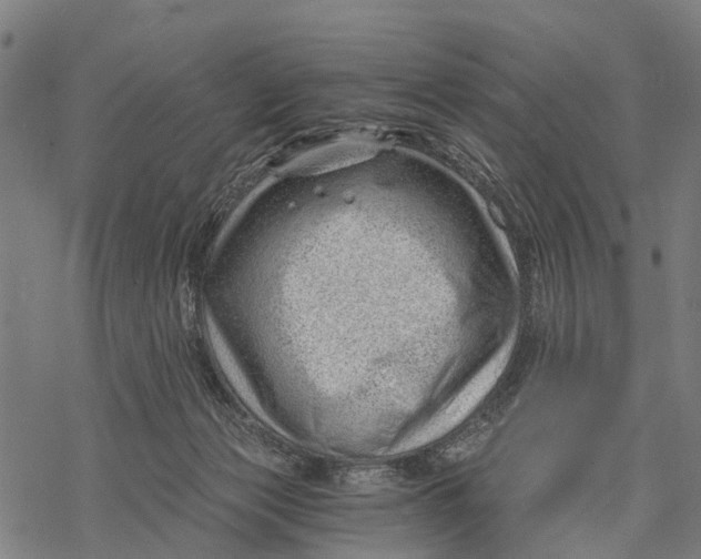 X0000068830173200605261624