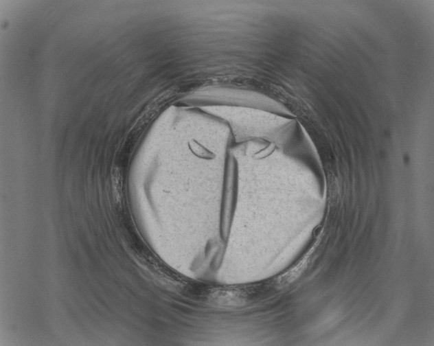 X0000068830174200605261624