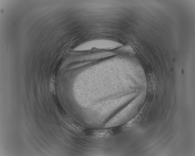 X0000068830175200605261624