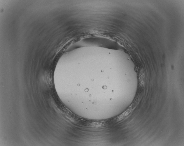 X0000068830176200605261624