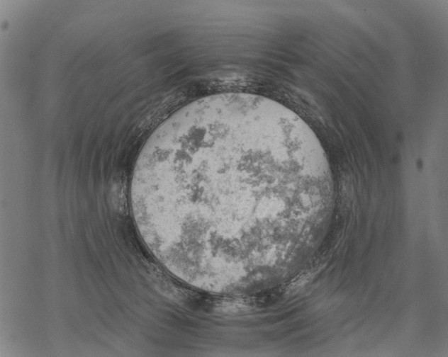 X0000068830177200605261624