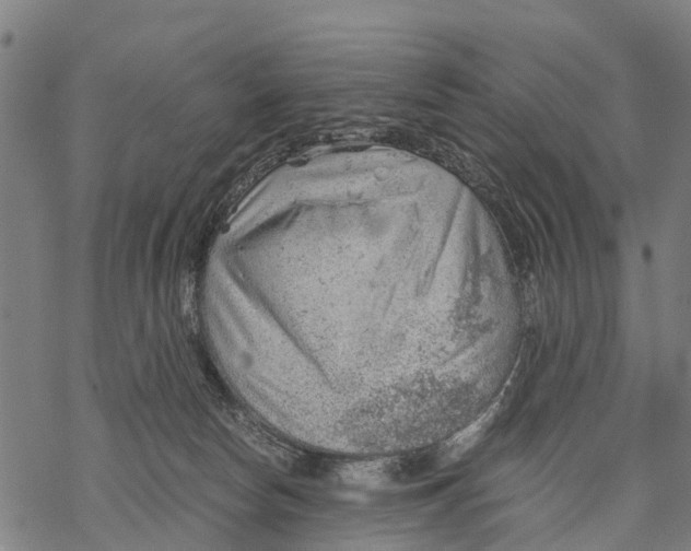 X0000068830178200605261624