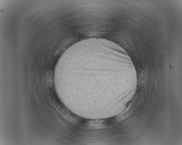 X0000068830179200605261625