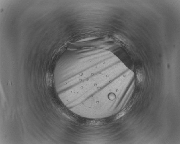 X0000068830180200605261625