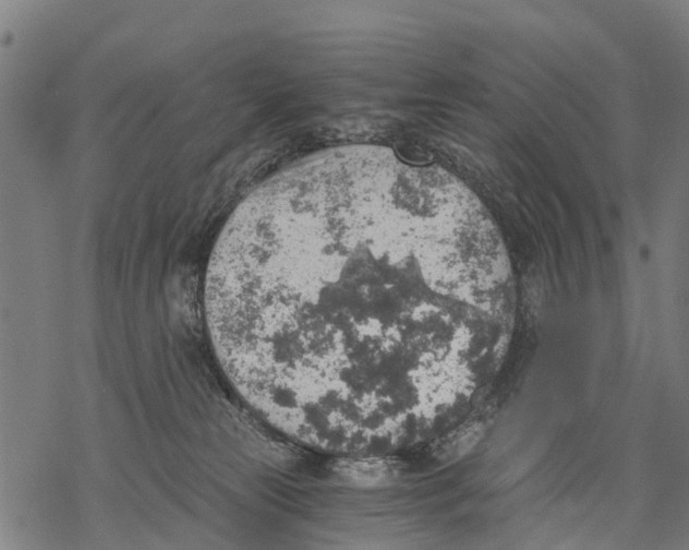 X0000068830181200605261625