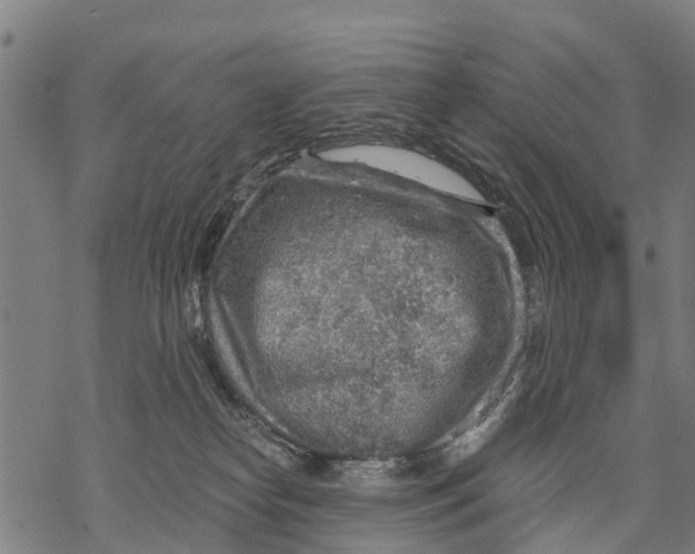 X0000068830182200605261625