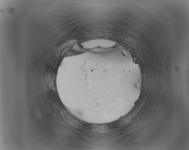 X0000068830185200605261625