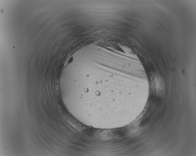 X0000068830186200605261625