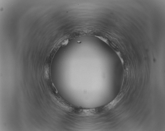 X0000068830188200605261625