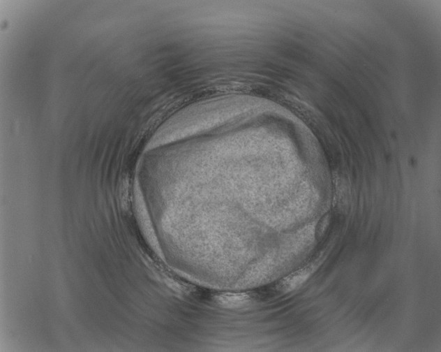 X0000068830189200605261625