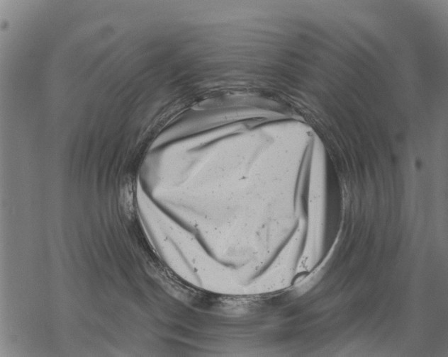 X0000068830190200605261625