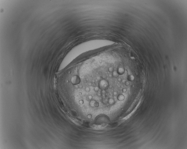 X0000068830191200605261625