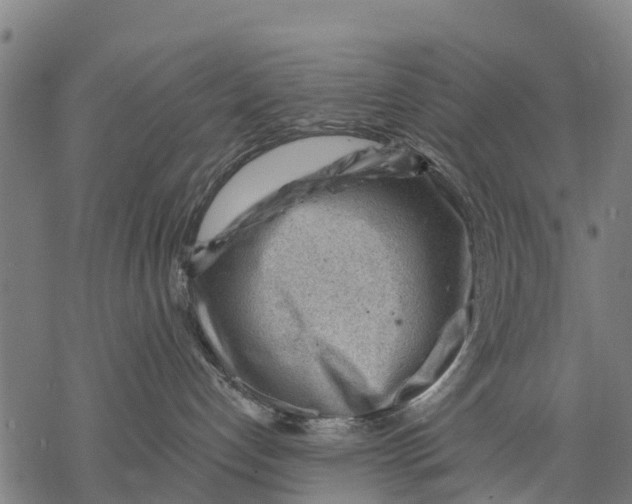 X0000068830192200605261625