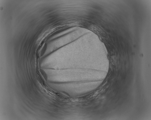 X0000068830194200605261624