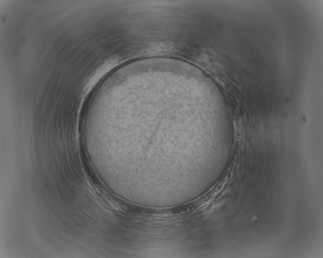 X0000068830196200605261624