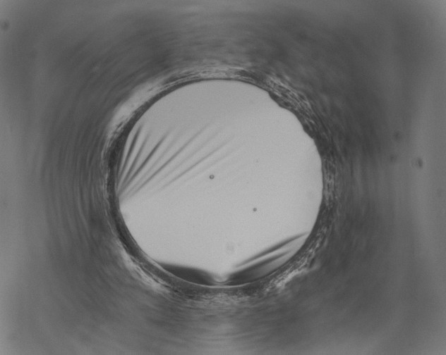 X0000068830197200605261624