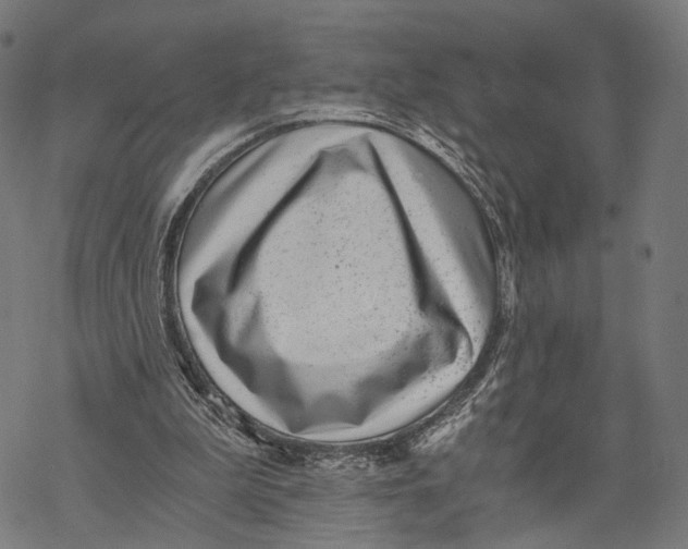 X0000068830199200605261624