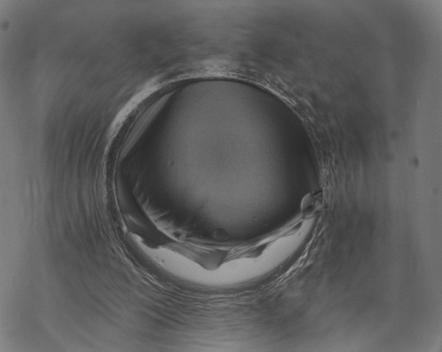 X0000068830200200605261624