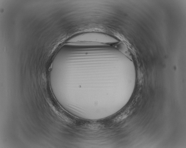 X0000068830201200605261624