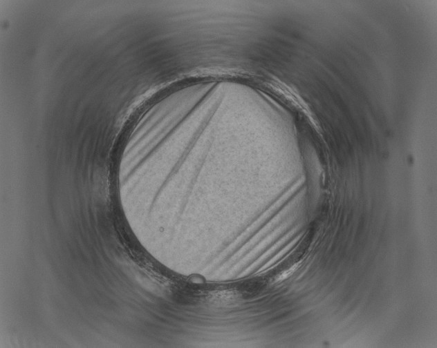 X0000068830204200605261624