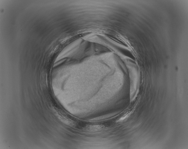 X0000068830205200605261624