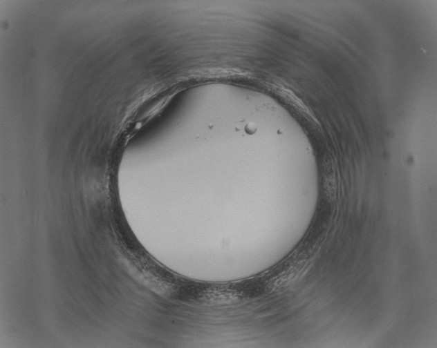 X0000068830207200605261624