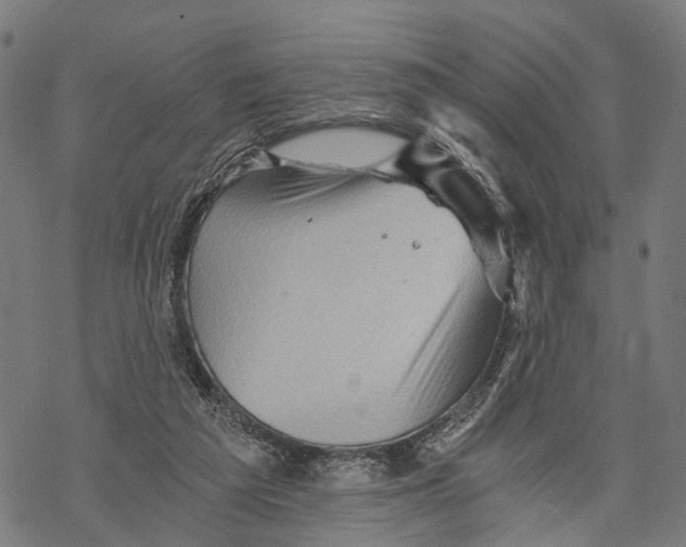 X0000068830209200605261624