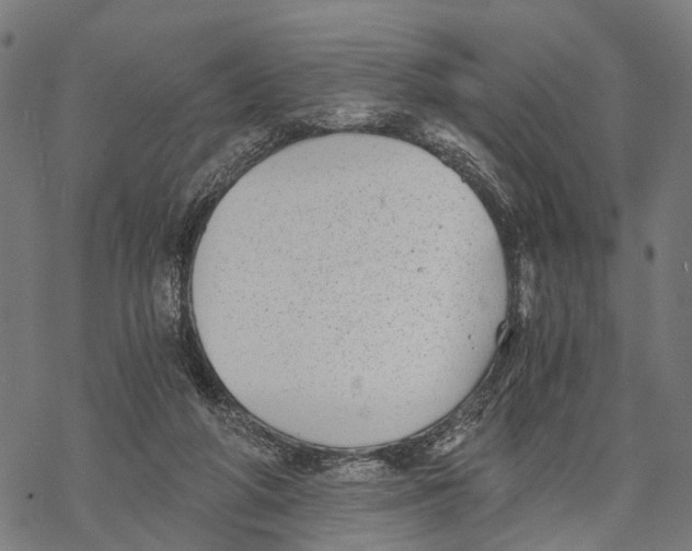 X0000068830210200605261624