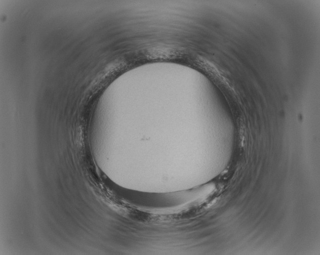 X0000068830211200605261624