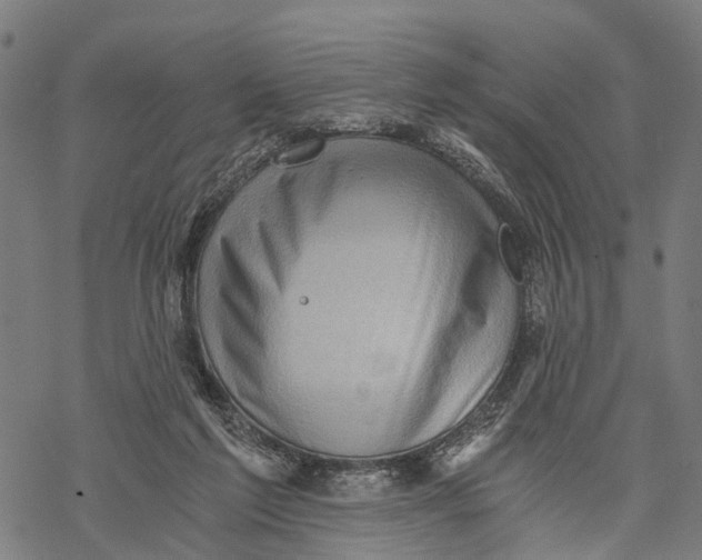 X0000068830213200605261624