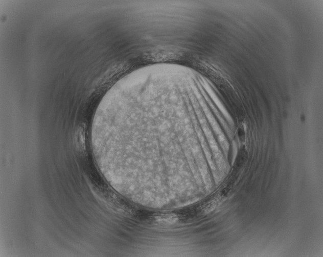 X0000068830214200605261624