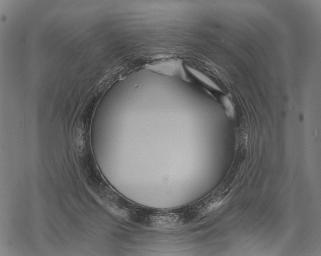 X0000068830215200605261624